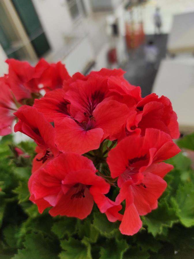 Romantic Getaway In The Heart Of Amalfi